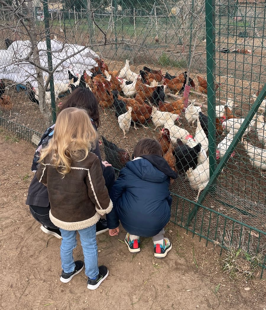 Marché à la Ferme 2